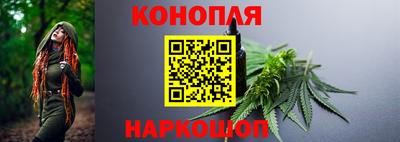 эйфоретик Малгобек